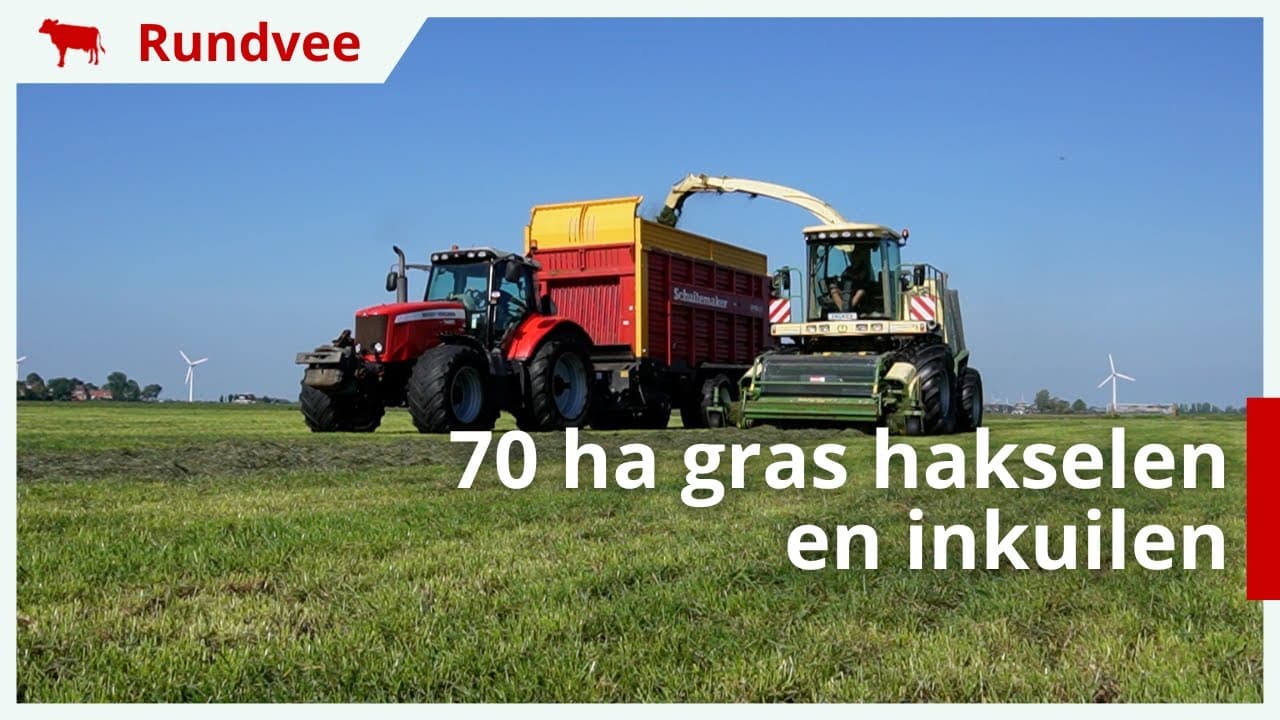 70 hectare gras hakselen en inkuilen