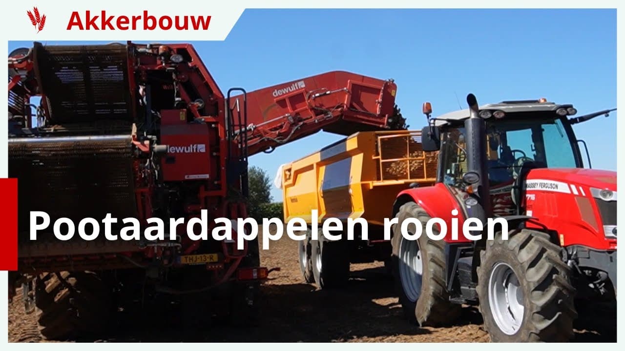 Pootaardappelen rooien in Hengelo (Gld.)