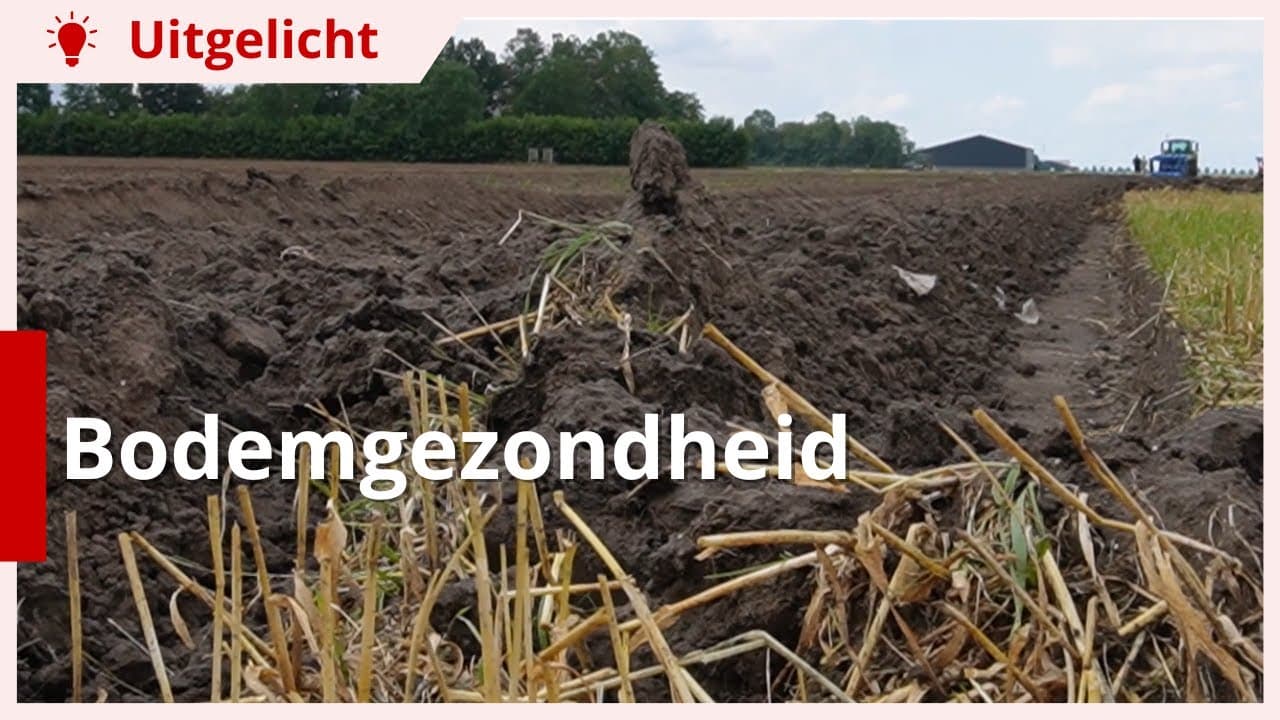 Uitgelicht | Bodemgezondheid meten en analyseren