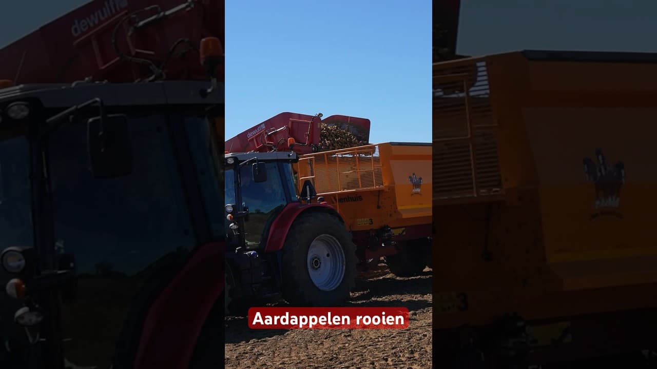 Vlog | Aardappelen rooien onder goede omstandigheden