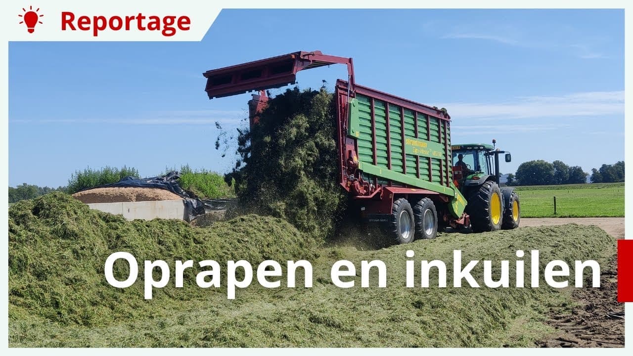 Vierde snede gras oprapen en inkuilen