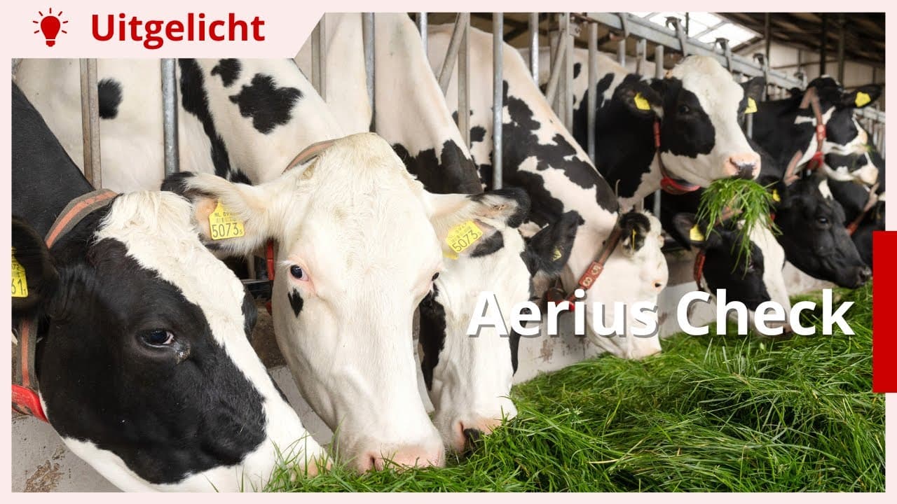 Uitgelicht | Zo berekent Aerius Check aanspraak op de uitkoopregeling