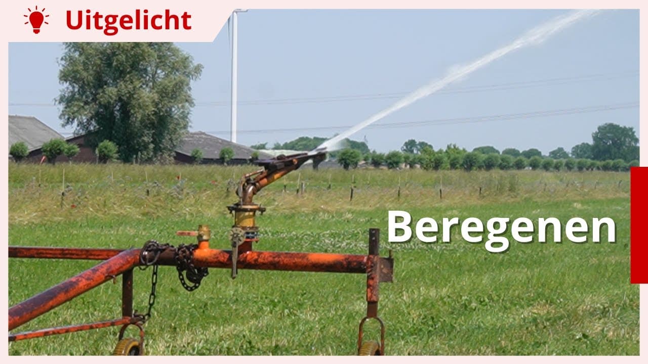 Uitgelicht | Beregenen bij droogte: waar moet je op letten?