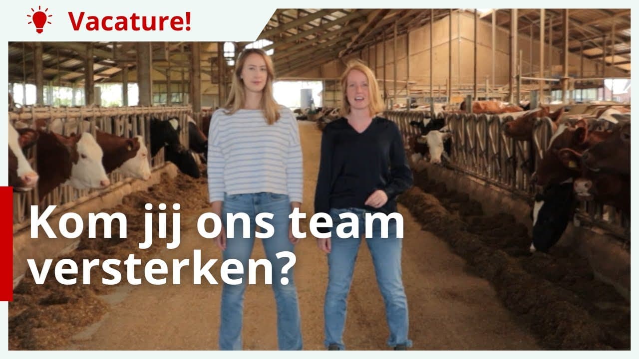 Word jij onze nieuwe audiovisueel redacteur?