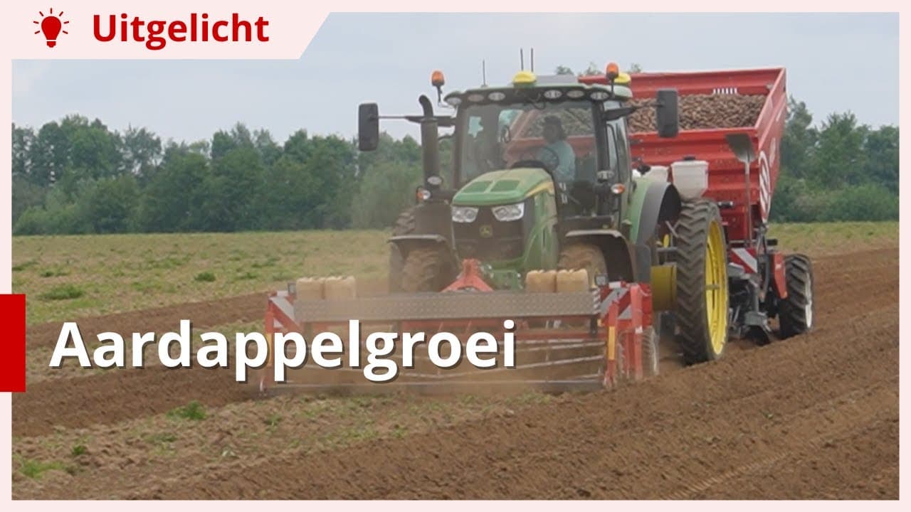 Uitgelicht | Goede aardappelgroei