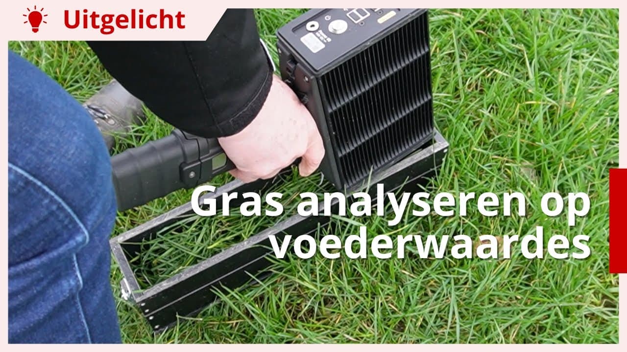 Uitgelicht | Kwaliteit van vers gras direct analyseren
