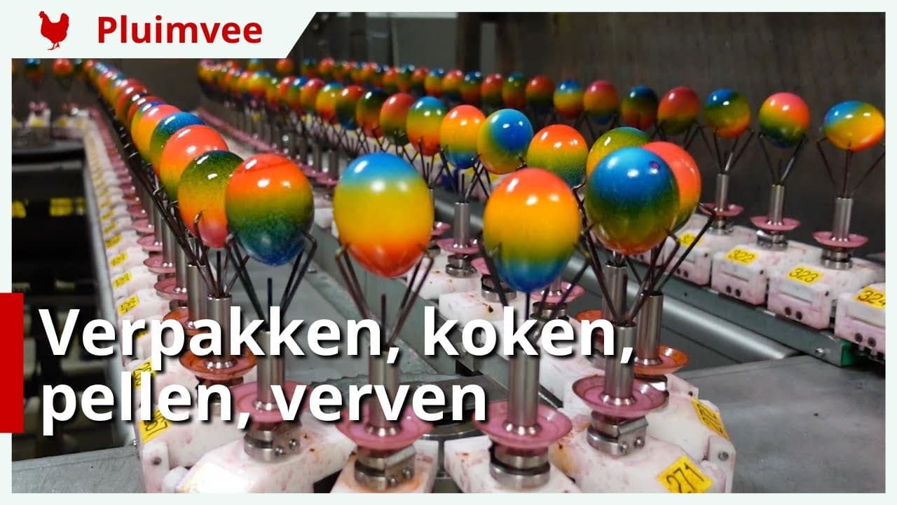 Egga Food: leverzekerheid belangrijker dan de prijs