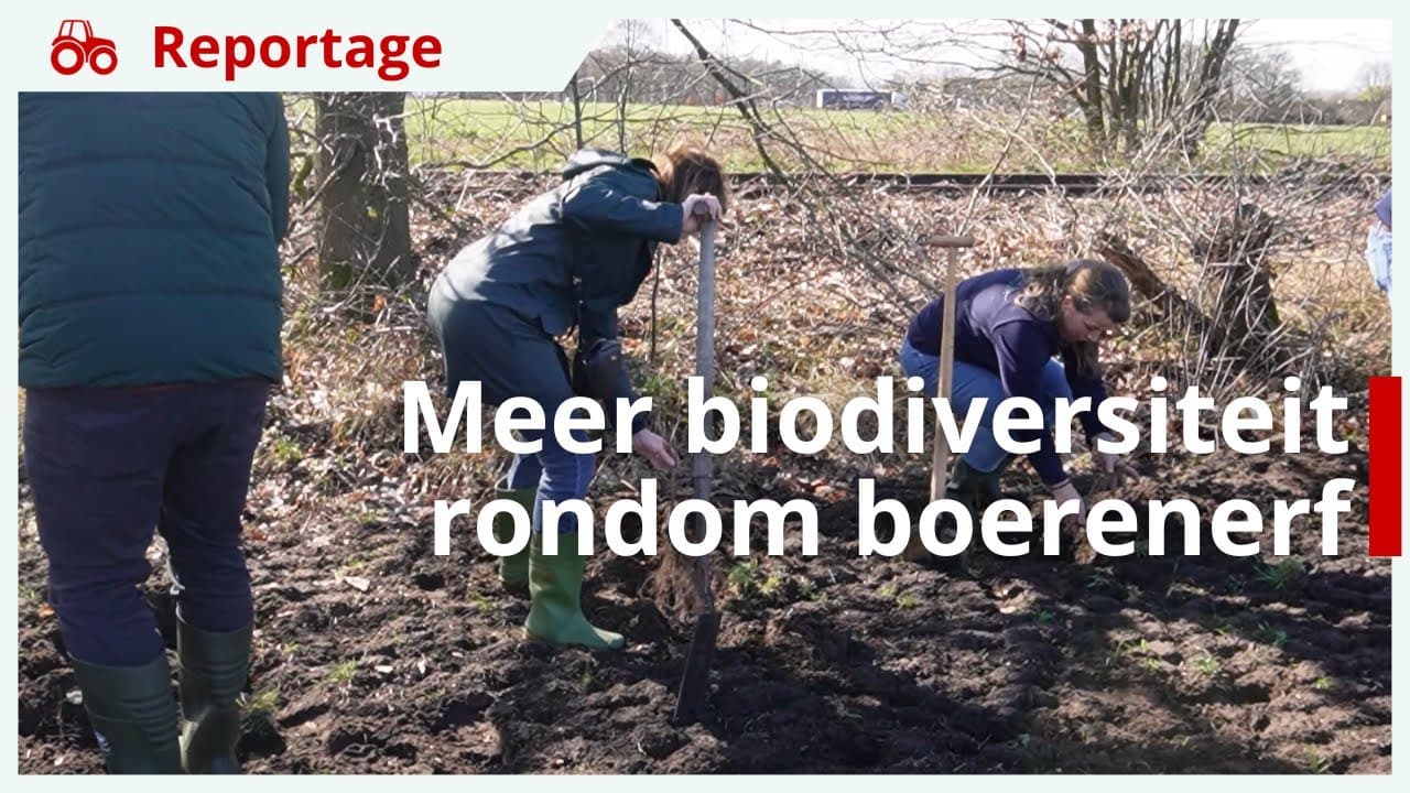 Arla Foods plant bomen voor meer biodiversiteit rondom boerenerven