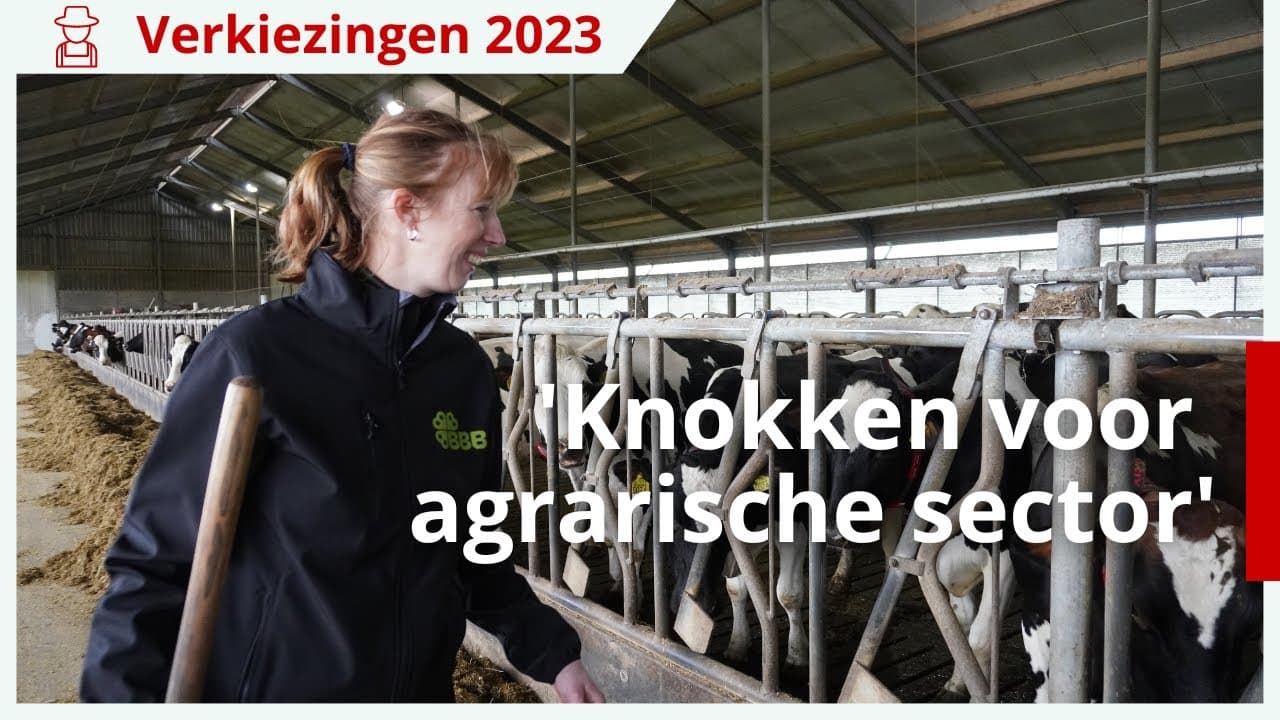 Wenda Bolhuis (BBB, Drenthe): ‘Knokken voor de toekomst van agrarische sector’