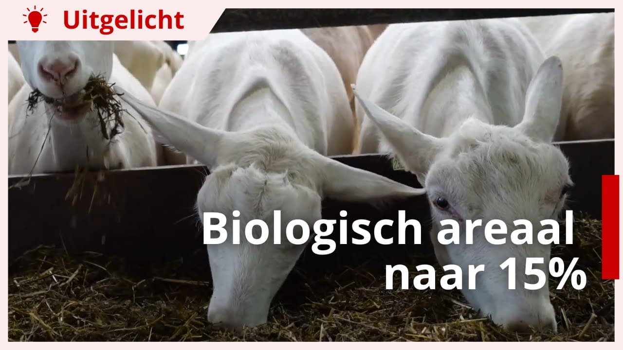 Uitgelicht | Omschakelen naar biologisch de moeite waard?