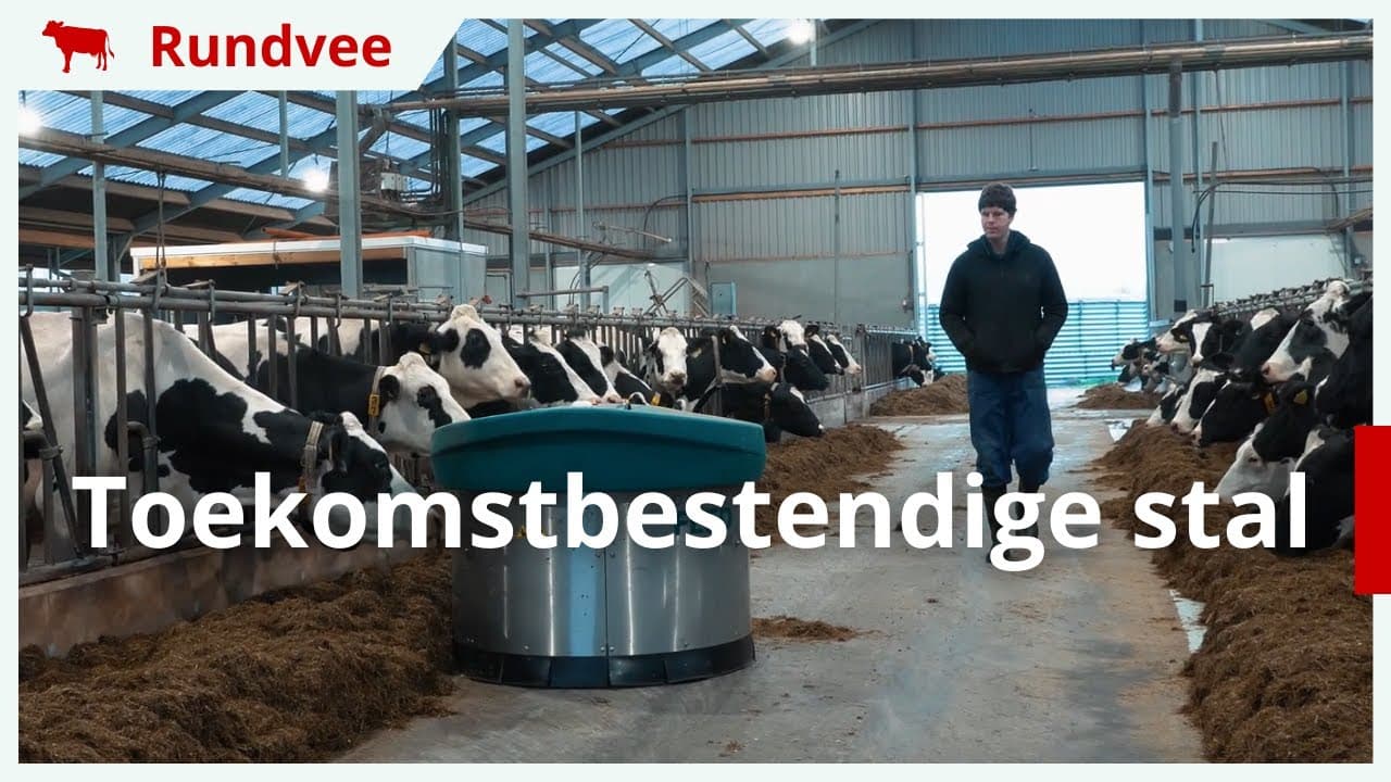 Video | Toekomstboer Bas: ‘Nieuwe stal om bedrijf toekomstbestendig te houden’