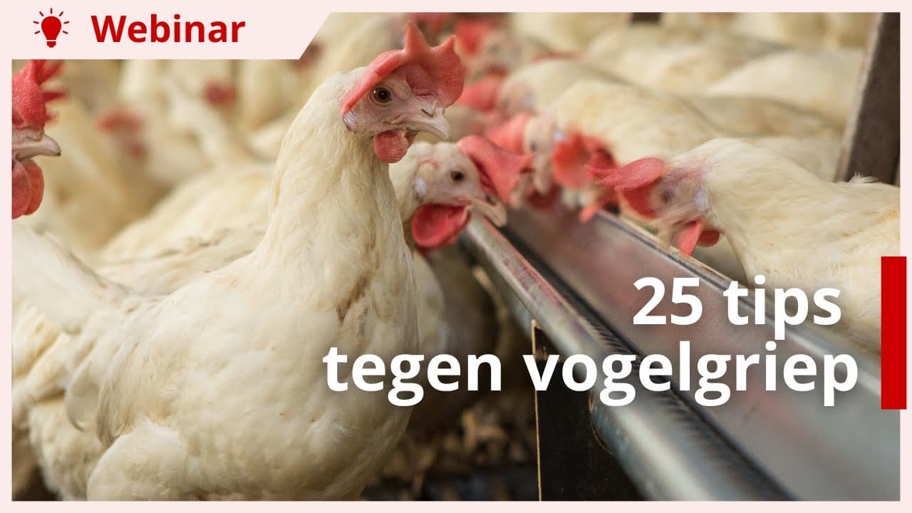 Webinar | 25 tips om vogelgriep te weren