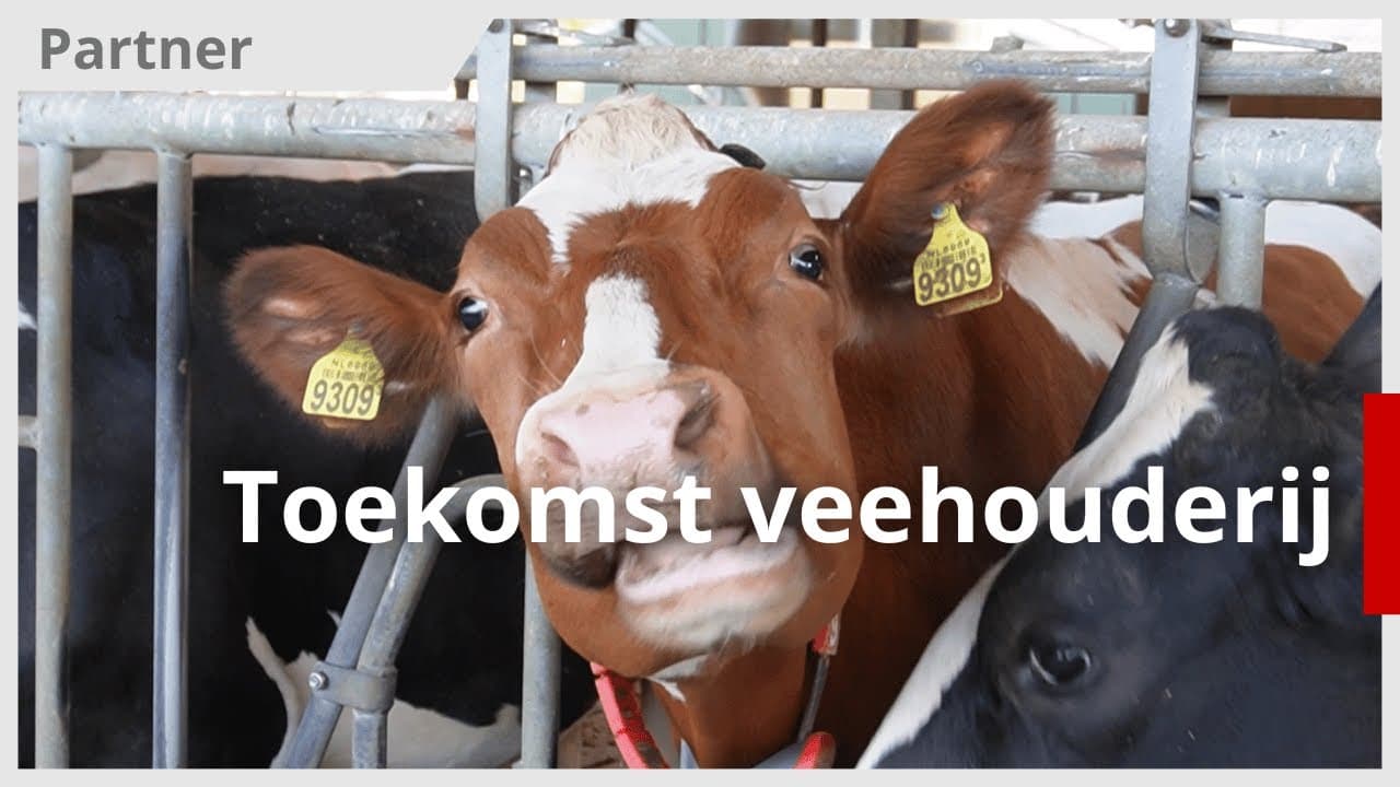 Video | Heeft de veehouderij nog toekomst?