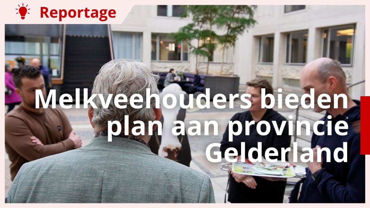 Melkveehouders bieden plan aan provincie Gelderland voor stikstofreductie