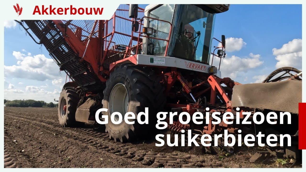 Video | Goed groeiseizoen suikerbieten bij Eelderink Zelhem