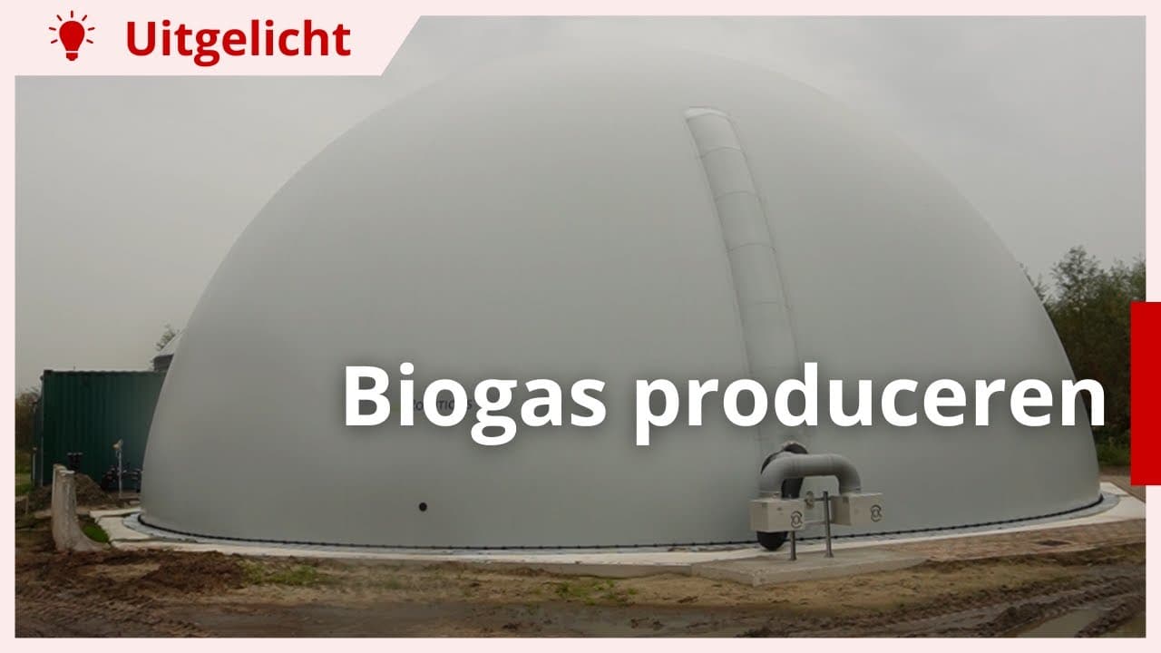 Uitgelicht | Melkveehouders leveren samen biogas