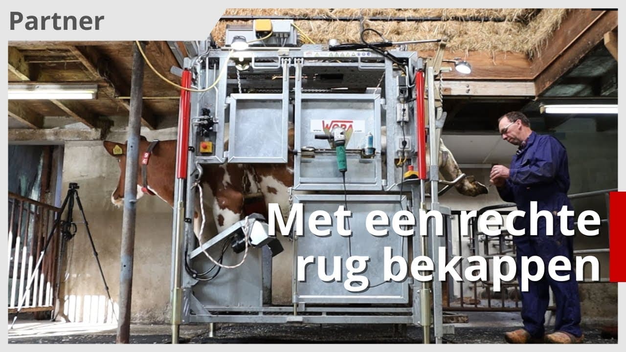 Nieuwe behandelbox zorgt voor lichter werk