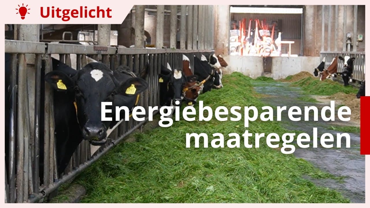 Uitgelicht | Energiebesparende maatregelen in melkveestal
