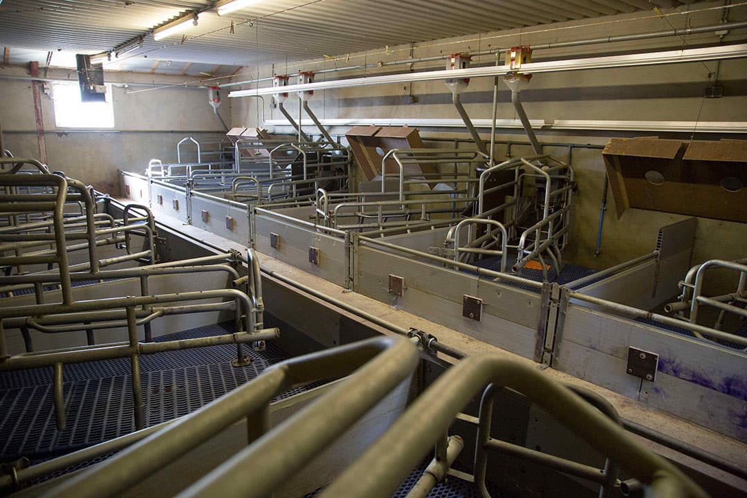 Lege stal van een gestopte veehouder. Het ministerie hoopt en verwacht dat de animo voor de nieuwe stoppersregeling groter is dan voor de huidige. - Foto: Jan Willem Schouten