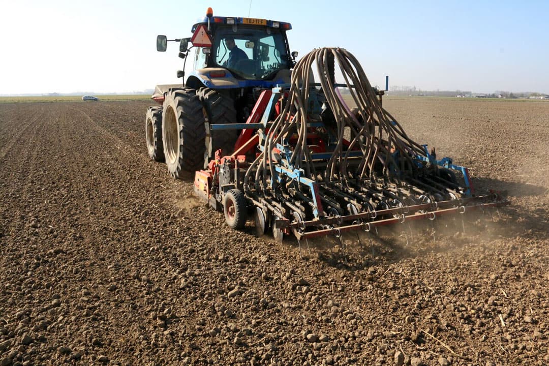 Akkerbouwbedrijf van Nieuwenhuyze in Goes (Zld.) zaait 10 hectare met het nieuwe zomertarweras Hexam. - Foto: Anton Dingemanse