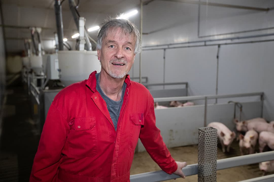 Dierenarts Hans Smit van Dierengezondheidscentrum Boven-Veluwe is de externe varkensarts bij Schothorst Feed Research in Lelystad. - Foto's: Ronald Hissink