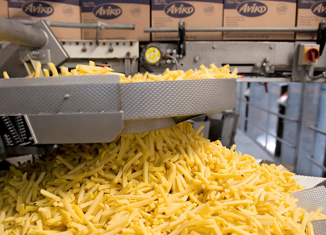 Aviko is steeds meer met zonnebloemolie gaan bakken. Nu heeft de aardappelverwerker palmolie moeten inkopen. - Foto: Aviko