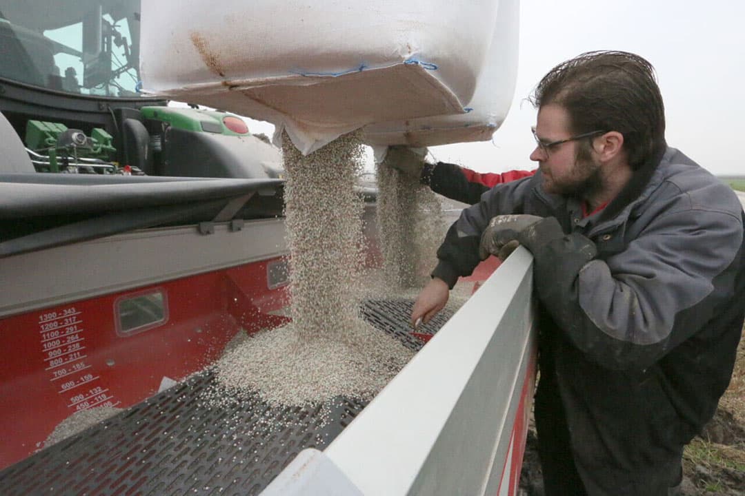 Ondanks dat de omstandigheden nog niet optimaal zijn besluit Carlo Joossen van Schelde Tulip uit het Zeeuwse Oostdijk om kunstmest over zijn tulpenpercelen te gaan strooien. De strooier vult hij vanuit bigbags. - Foto's: Anton Dingemanse