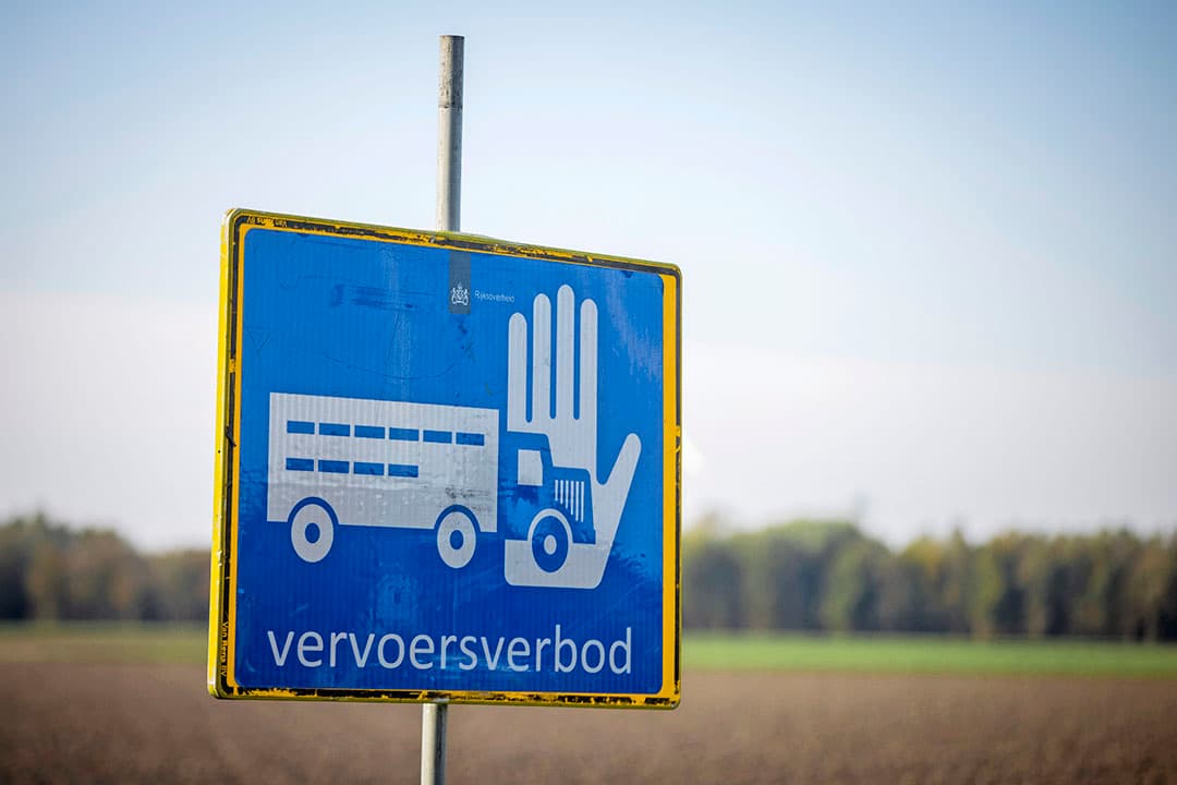 Vervoersbeperkingen op de grens van Brabant en Limburg door AI-besmetting bij vogelhandelaar net over de grens in België. - Foto: Koos Groenewold