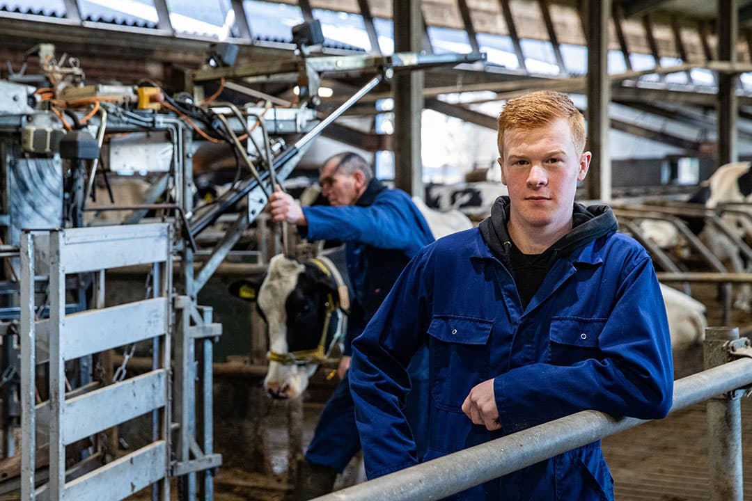 Marc Lensink liep stage bij Gerrit Holmer in Laren (Gld.). In het kerstnummer van Boerderij vertellen ze allebei over hun ervaringen. - Foto: Ronald Hissink