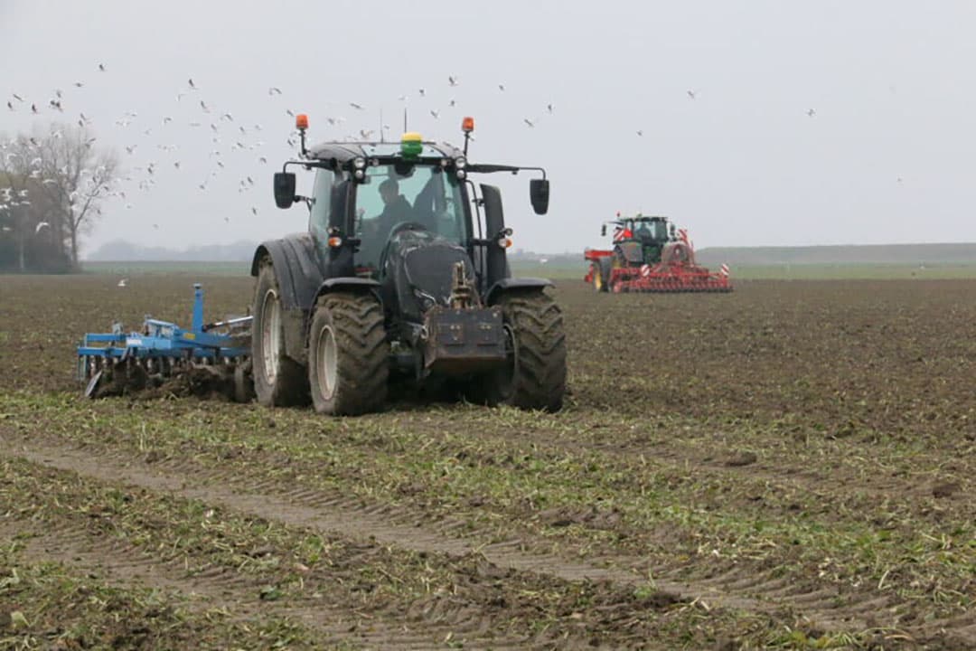 Foto's: Anton Dingemanse
