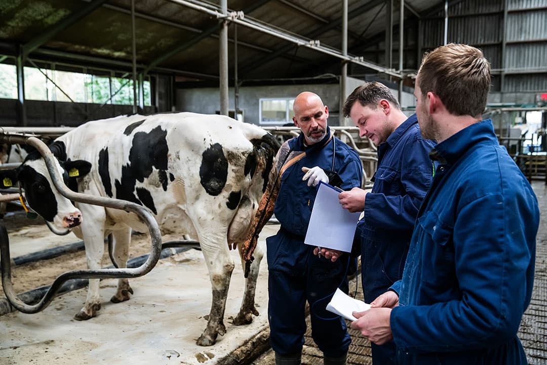 Nick houdt tijdens het bedrijfsbezoek de administratie bij. Door de bedrijfsbegeleiding kunnen hij en Jim het werk beter plannen en hebben ze meer grip op wat er gebeurt. - Foto's: Ronald Hissink