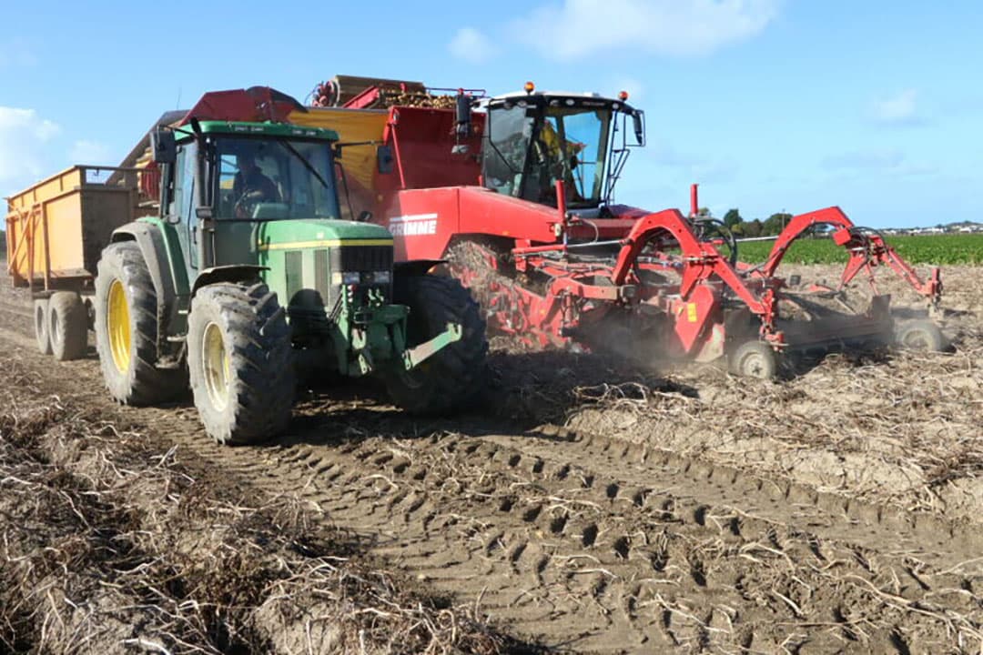 Loonbedrijf Kloosterman uit Lewedorp (Z.) rooit voor maatschap De Jager-De Schipper uit Geersdijk een perceel Agria in de Onrustpolder bij Kamperland. - Foto's: Anton Dingemanse
