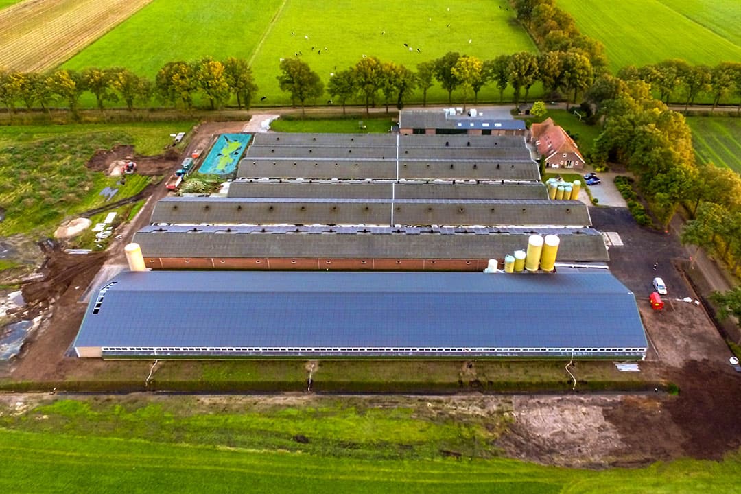 Familie Hendriks bouwde een nieuwe opfokstal voor fokgelten. De stal biedt plaats voor 2.500 fokgelten.De stal bevat enkele noviteiten op gebied van verwarming en verrijkingsmateriaal. Zaterdag 16 oktober is de open dag. - Foto's: Ronald Hissink
