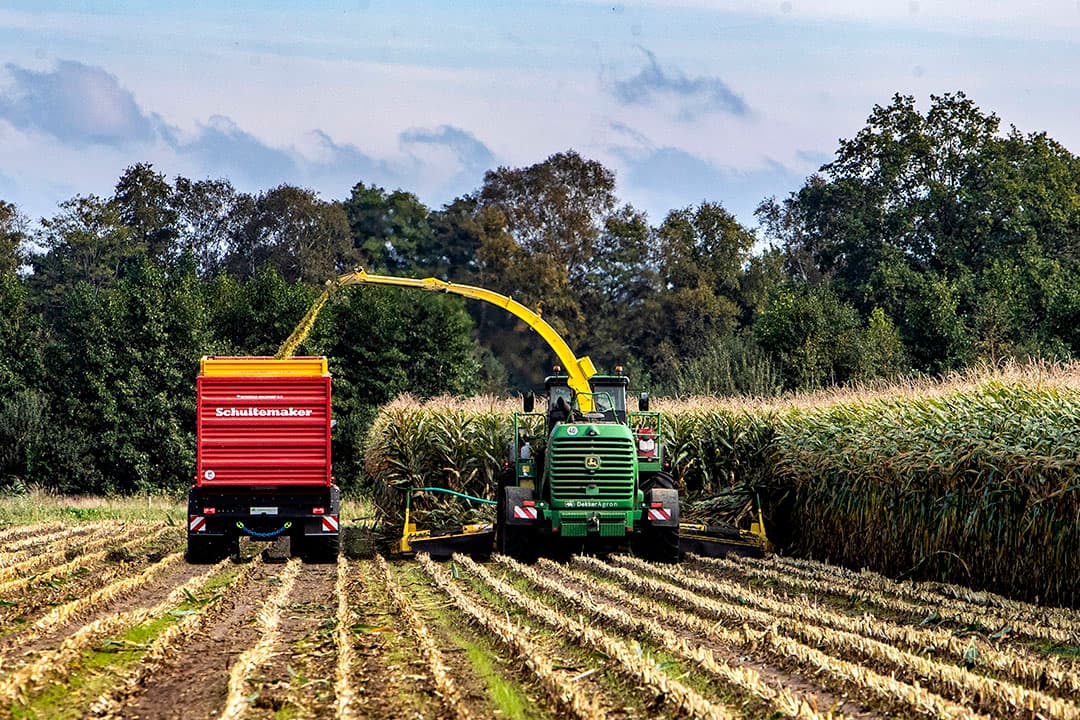 Maisoogst is maar een keer per jaar. Maak een product dat zoveel mogelijk bij de graskuilen op het bedrijf past. - Foto: Ronald Hissink