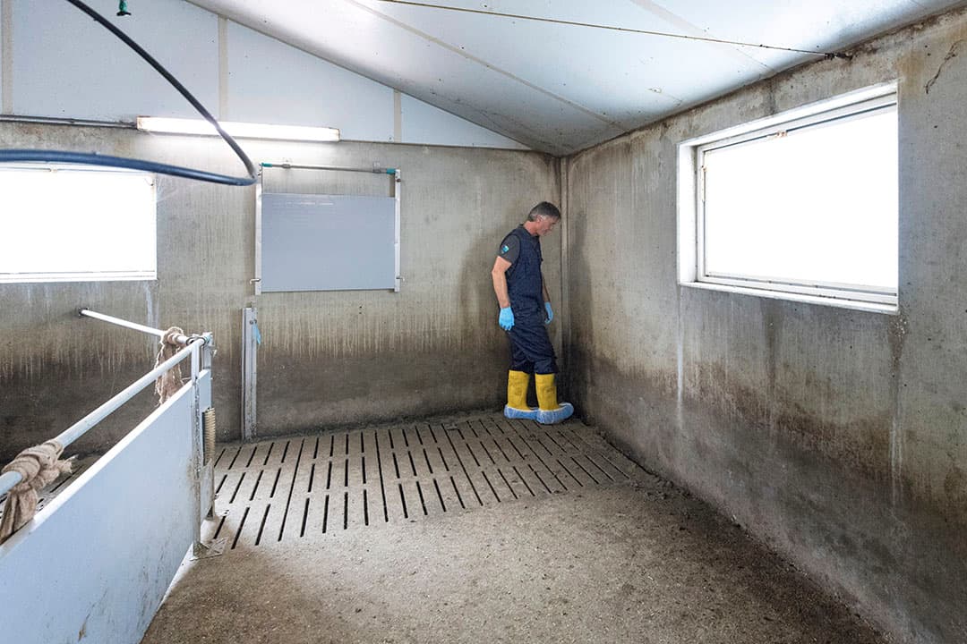 Foto: Koos Groenewold