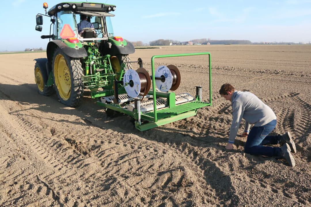 Medewerkers van proefboerderij Rusthoeve leggen de tapes voordat de uien gezaaid worden. - Foto’s: Anton Dingemanse