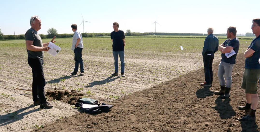 Het hoofddoel van de veldbijeenkomsten is de ZLTO carbon farming-proef met groenbemesters waarbij deskundigen van Rusthoeve en het Louis Bolk Instituut uitleg geven. - Foto’s: Anton Dingemanse.