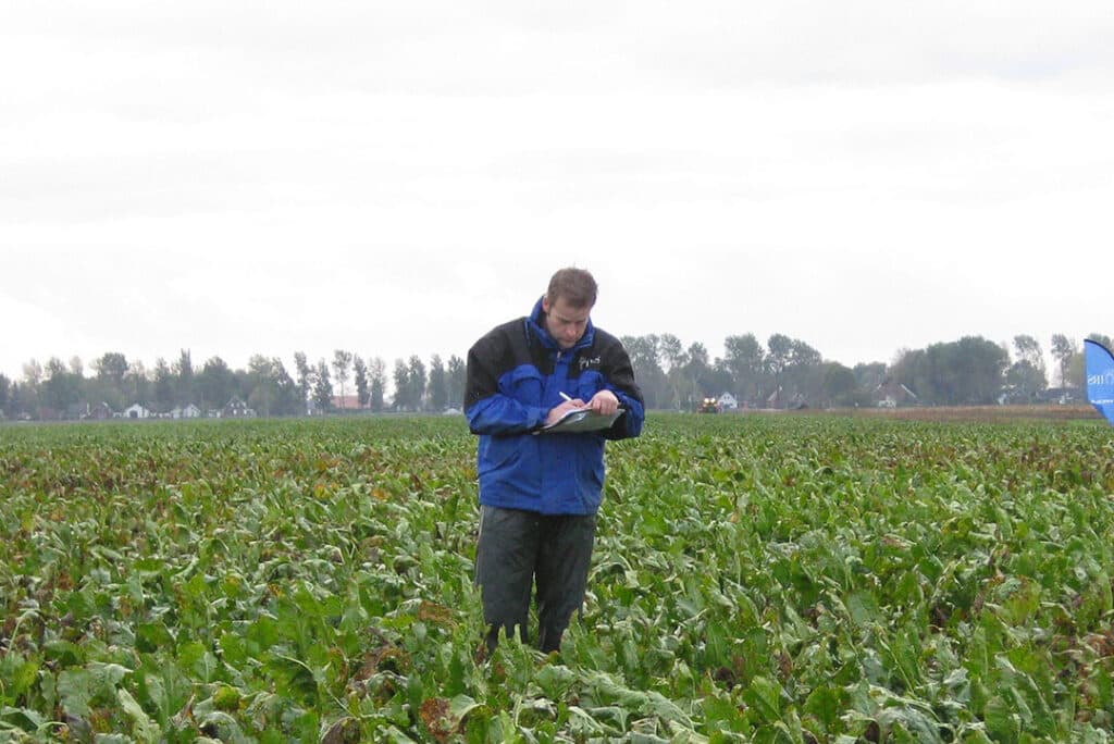 IRS-onderzoeker Bram Hanse beoordeelt een proefveld op aantasting door bladschimmels. Het IRS onderzoekt de relatie tussen het infectiemoment, moment van bespuiting en het resultaat. - Foto: IRS