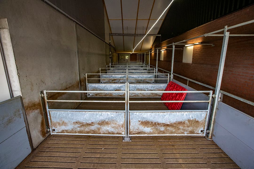 Foto: Ronald Hissink