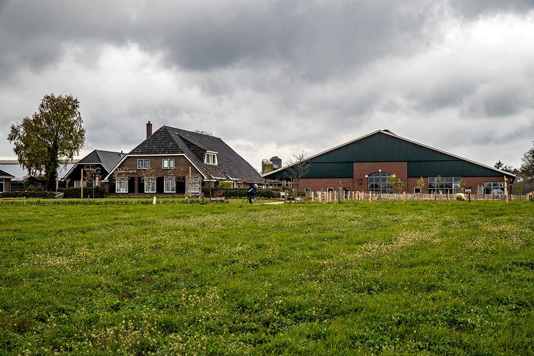 Kloosterboer ziet dat de doelen, veel eigen eiwit en kruidenrijk grasland, om de biodiversiteit te verhogen tegenwerken. - Foto's: Ronald Hissink