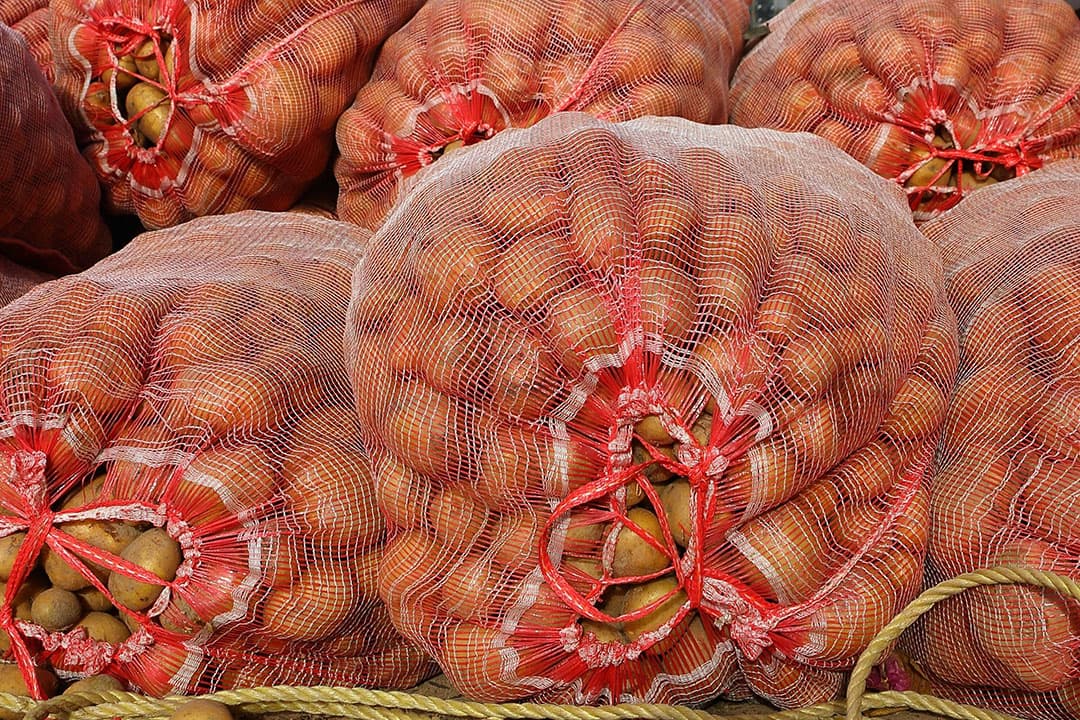 Met name in Afrika was de Nederlandse aardappel dit seizoen in trek. - Foto: Canva