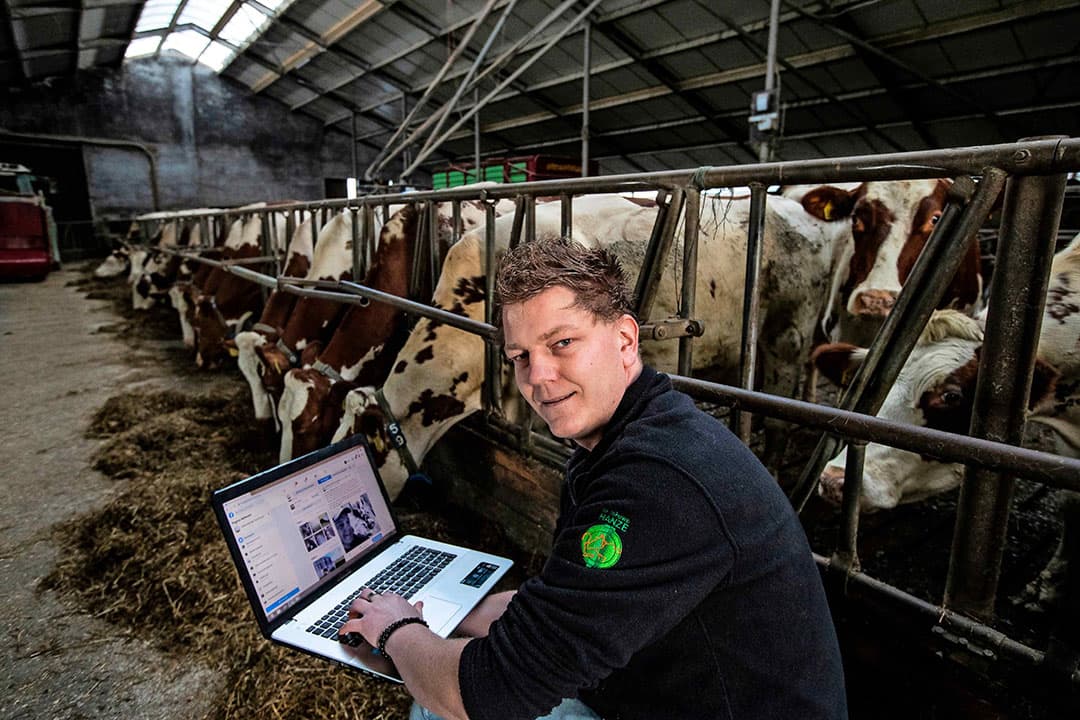 Boerenzoon Edwin van der Beek met zijn laptop bij zijn favoriete dieren in de stal van het melkveebedrijf van zijn ouders. - Foto: Ronald Hissink