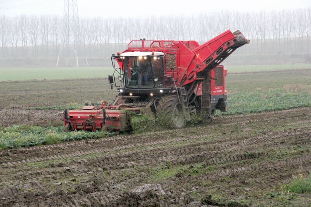 Foto: Anton Dingemanse