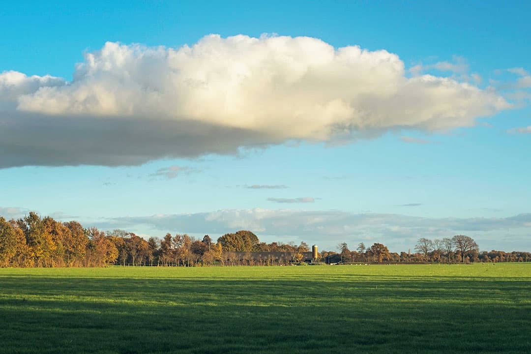 Foto: Canva/ysbrandcosijnfotografie