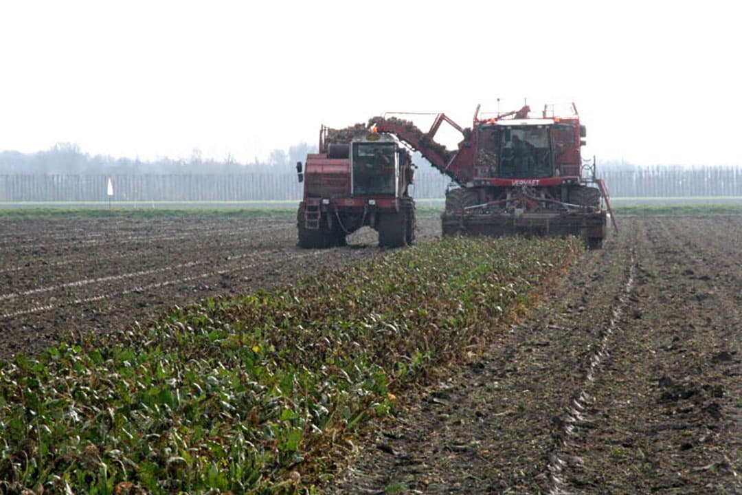 Landwerk in Zeeland: ploeteren tussen de buien door