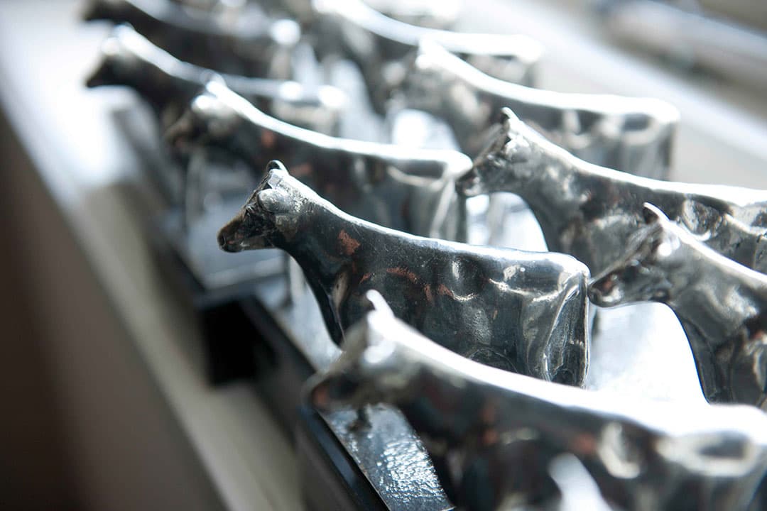 Beeldjes voor koeien die meer dan 100.000 liter melk hebben gegeven. In de veehouderij is het idee van een verbond tussen de boer en zijn dieren die samen een topprestatie leveren, ook nog springlevend, volgens Jan Staman. - Foto: Mark Pasveer