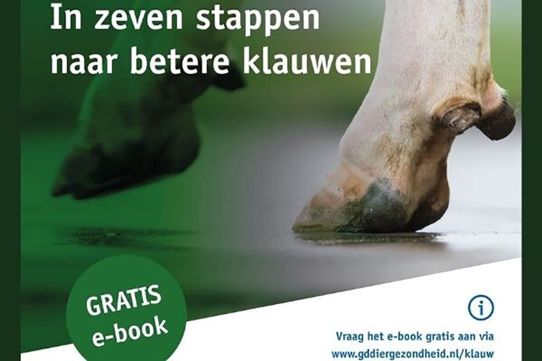 Afbeelding: GD