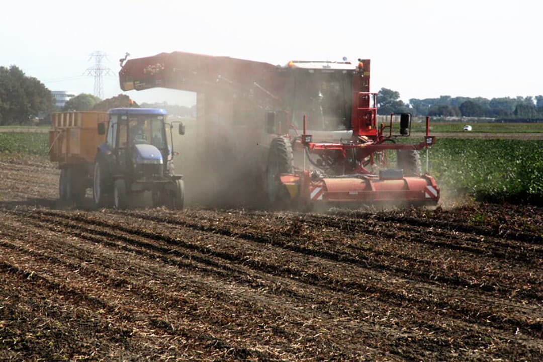 Foto: Anton Dingemanse