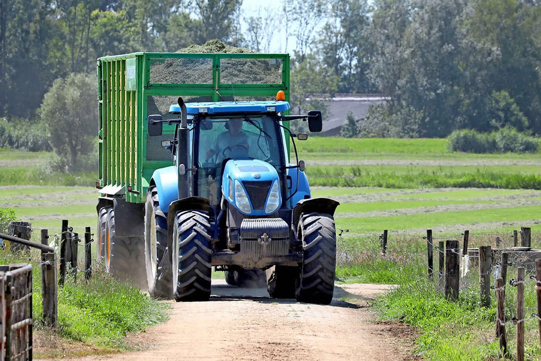 Foto:Henk Riswick