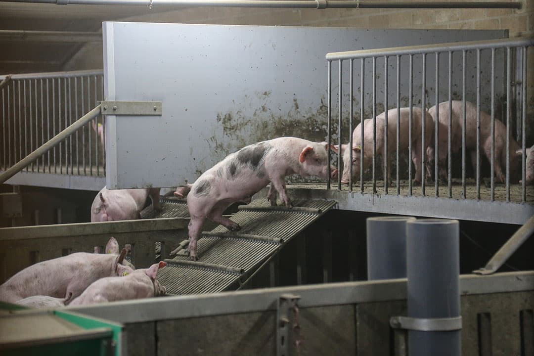 Foto: Matthijs Verhagen